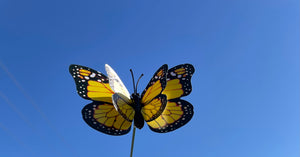 Holocaust Remembrance Days 2023- The Butterfly