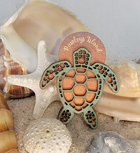 Turtle Magnets