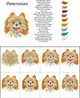Pomeranian-DIY Pop Art Paint Kit