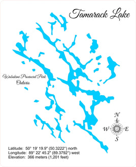 Tamarack Lake, Ontario, Canada - laser cut wood map